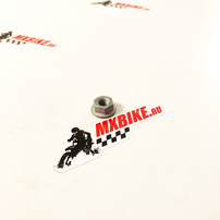 hex nut EN 1661 M8 WS13