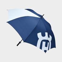 Corporate Umbrella