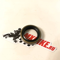 SHAFT SEAL RING 22X32X7 BSL