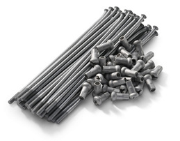 SPOKE KIT FRONT ''21''