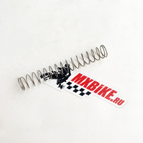 THROTTLE VALVE SPRING