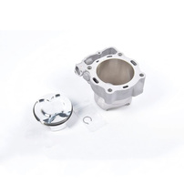 Cyclinder and Piston cpl.