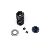 Valve springs kit 450