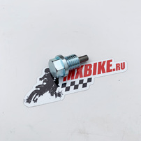 oildrain plug with magnet