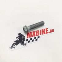 HH collar screw M8x35 TX40