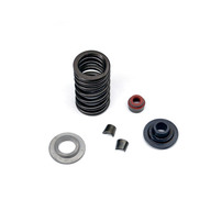 VALVE SPRING KIT INTAKE