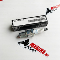 Spark plug