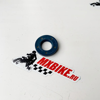 SHAFT SEAL RING 15X30X4.5 BAUD