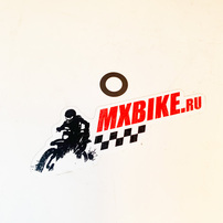 THRUST WASHER 8X14X0 1