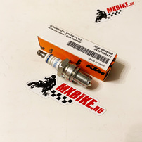 SPARK PLUG NGK BR8ECM