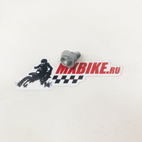 SPECIAL SCREW M6X12 5 WS=8