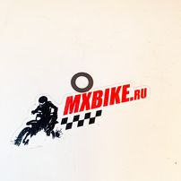 THRUST WASHER 8X14X0 3