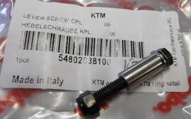 LEVER SCREW CPL. 06
