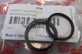 REPAIR KIT SEAL RING 24MM