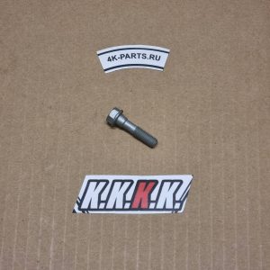 CYL. HEAD BOLT M 7X30 WS=10