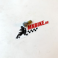 SPECIAL SCREW M6X16 WS=8 10.9