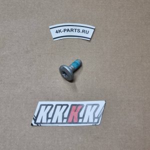 SPECIAL SCREW M8X18 TORX45 SS